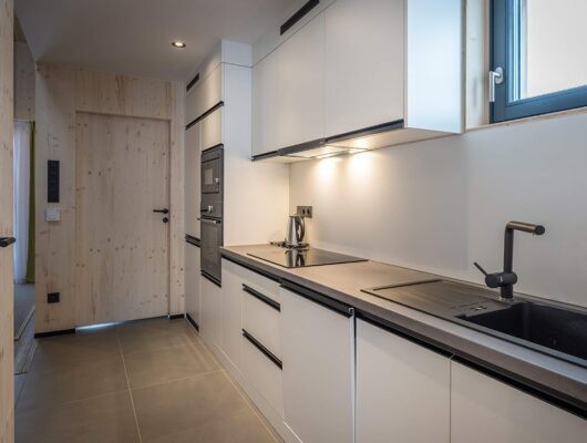 Deluxe Loft Apartment