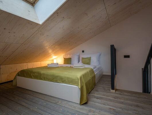 Deluxe Loft Apartment