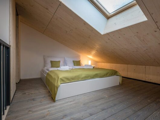 Deluxe Loft Apartment