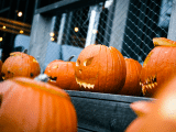Halloween 🎃 for the whole family! 👻 Get ready for an adventure. 🧡