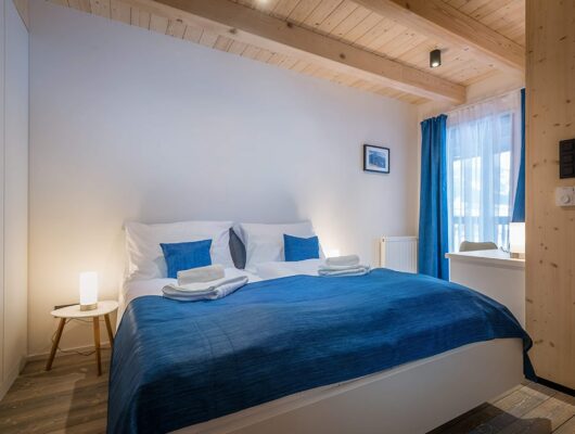 Comfort Loft Apartment