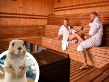 👉Enjoy a magical autumn in Slovakia with wellness included in the price. ✨