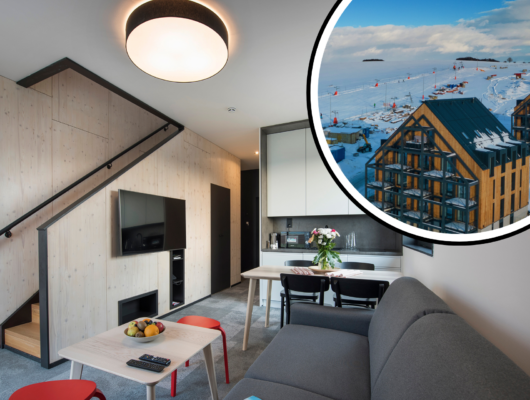 Apartment Lux
